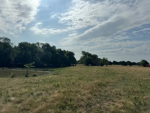Ranch For Sale in Rains County , RS County Road 1691, Lone Oak, Texas 75453, 0, 0, Garage spaces, 0 Sqft, built in 0, Price $475,000, mls#21121715, Real Estate Agent in Lone Oak, Homes For Sale in Rains county, Homes For Sale in Lone Oak, Realtor in Lone Oak Texas, Real Estate Brokerage Independent Realty Texas, Luminita Cordes Realtor