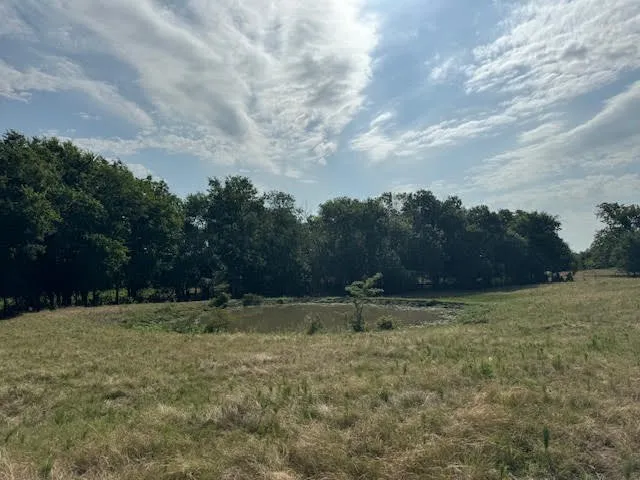 Ranch For Sale in Rains County , RS County Road 1691, Lone Oak, Texas 75453, 0, 0, Garage spaces, 0 Sqft, built in 0, Price $475,000, mls#21121715, Real Estate Agent in Lone Oak, Homes For Sale in Rains county, Homes For Sale in Lone Oak, Realtor in Lone Oak Texas, Real Estate Brokerage Independent Realty Texas, Luminita Cordes Realtor