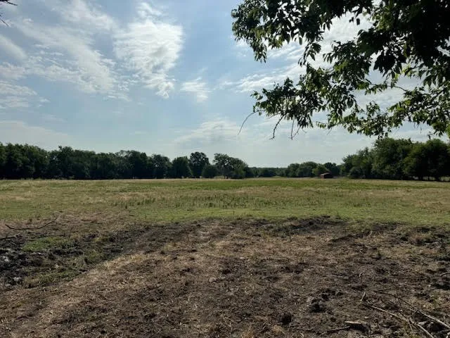 Ranch For Sale in Rains County , RS County Road 1691, Lone Oak, Texas 75453, 0, 0, Garage spaces, 0 Sqft, built in 0, Price $475,000, mls#21121715, Real Estate Agent in Lone Oak, Homes For Sale in Rains county, Homes For Sale in Lone Oak, Realtor in Lone Oak Texas, Real Estate Brokerage Independent Realty Texas, Luminita Cordes Realtor