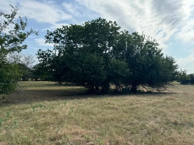 Ranch For Sale in Rains County , RS County Road 1691, Lone Oak, Texas 75453, 0, 0, Garage spaces, 0 Sqft, built in 0, Price $475,000, mls#21121715, Real Estate Agent in Lone Oak, Homes For Sale in Rains county, Homes For Sale in Lone Oak, Realtor in Lone Oak Texas, Real Estate Brokerage Independent Realty Texas, Luminita Cordes Realtor