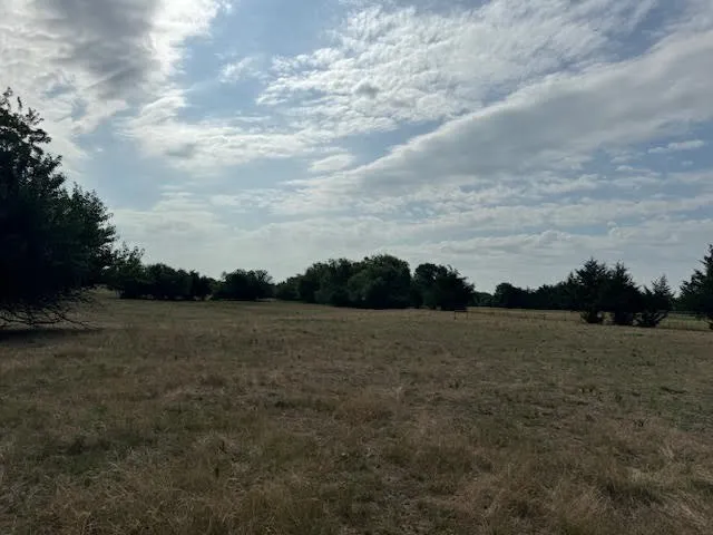 Ranch For Sale in Rains County , RS County Road 1691, Lone Oak, Texas 75453, 0, 0, Garage spaces, 0 Sqft, built in 0, Price $475,000, mls#21121715, Real Estate Agent in Lone Oak, Homes For Sale in Rains county, Homes For Sale in Lone Oak, Realtor in Lone Oak Texas, Real Estate Brokerage Independent Realty Texas, Luminita Cordes Realtor