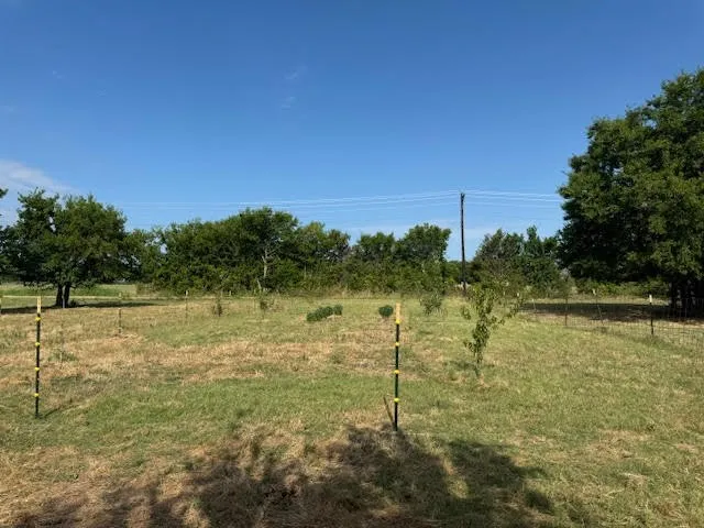 Ranch For Sale in Rains County , RS County Road 1691, Lone Oak, Texas 75453, 0, 0, Garage spaces, 0 Sqft, built in 0, Price $475,000, mls#21121715, Real Estate Agent in Lone Oak, Homes For Sale in Rains county, Homes For Sale in Lone Oak, Realtor in Lone Oak Texas, Real Estate Brokerage Independent Realty Texas, Luminita Cordes Realtor