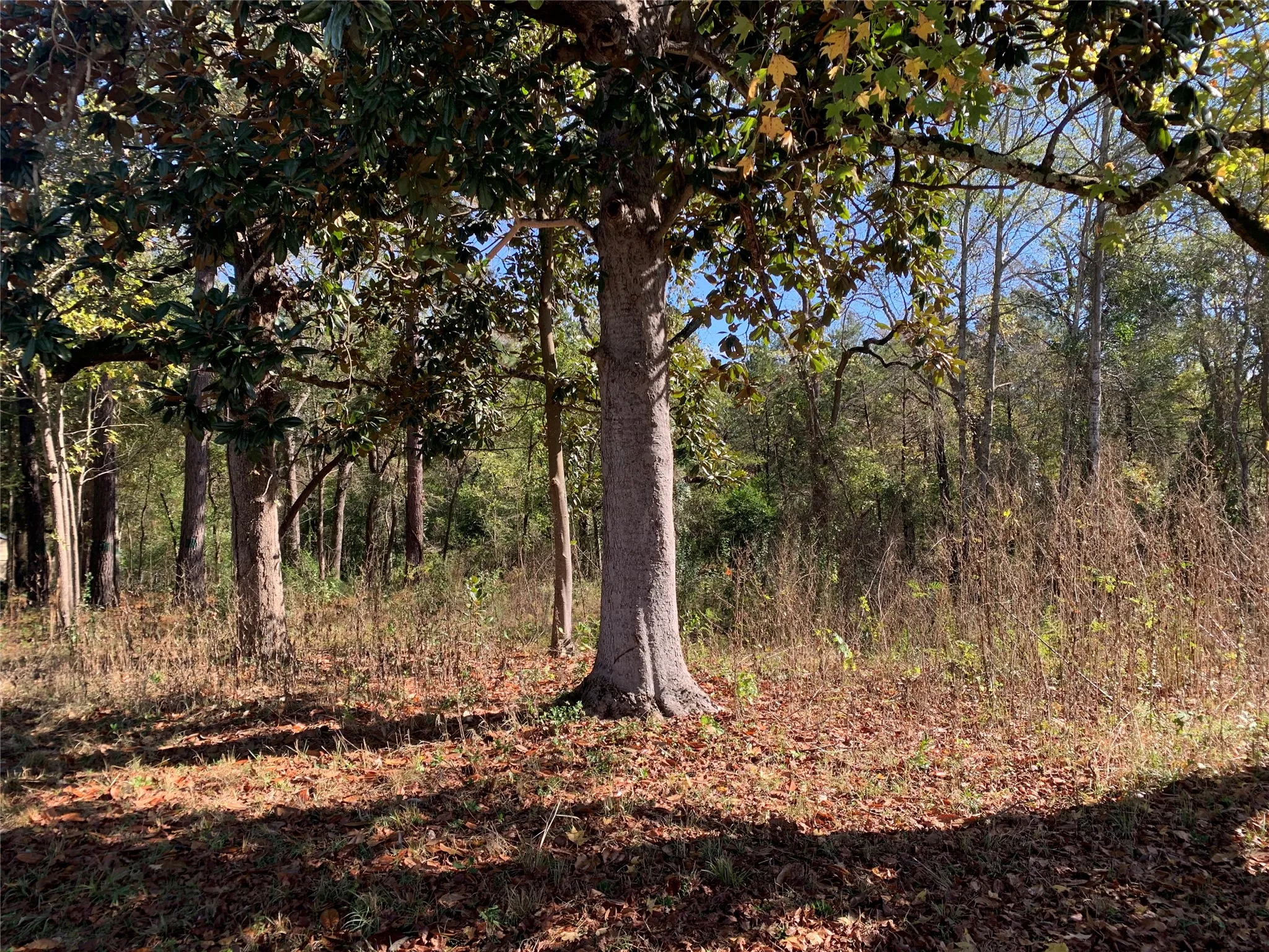 Unimproved Land For Sale in Henderson County , 905 W Cayuga Drive, Athens, Texas 75751, 0, 0, Garage spaces, 0 Sqft, built in 0, Price $40,000, mls#21121907, Real Estate Agent in Athens, Homes For Sale in Henderson county, Homes For Sale in Athens, Realtor in Athens Texas, Real Estate Brokerage Independent Realty Texas, Luminita Cordes Realtor