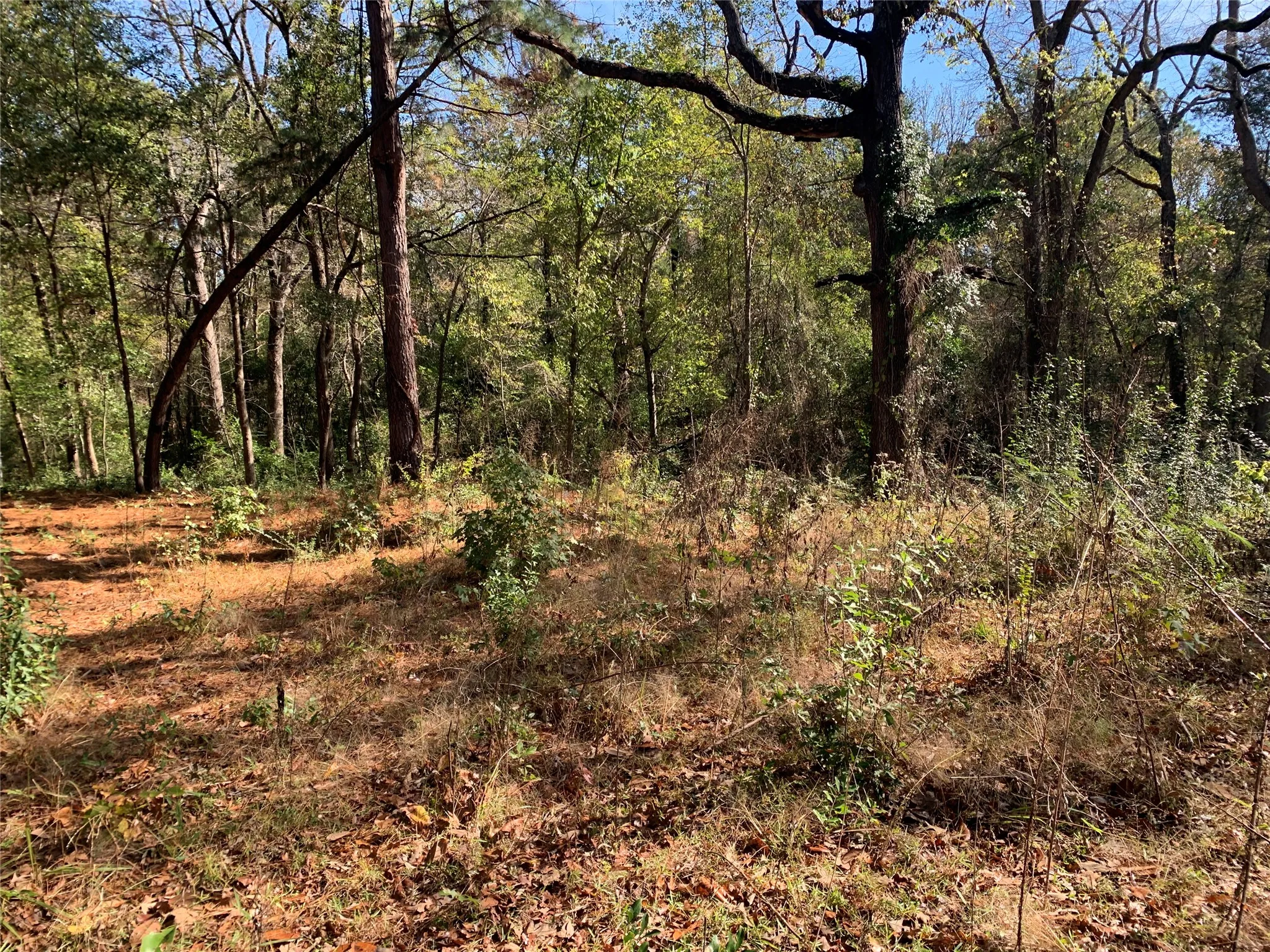 Unimproved Land For Sale in Henderson County , 905 W Cayuga Drive, Athens, Texas 75751, 0, 0, Garage spaces, 0 Sqft, built in 0, Price $40,000, mls#21121907, Real Estate Agent in Athens, Homes For Sale in Henderson county, Homes For Sale in Athens, Realtor in Athens Texas, Real Estate Brokerage Independent Realty Texas, Luminita Cordes Realtor
