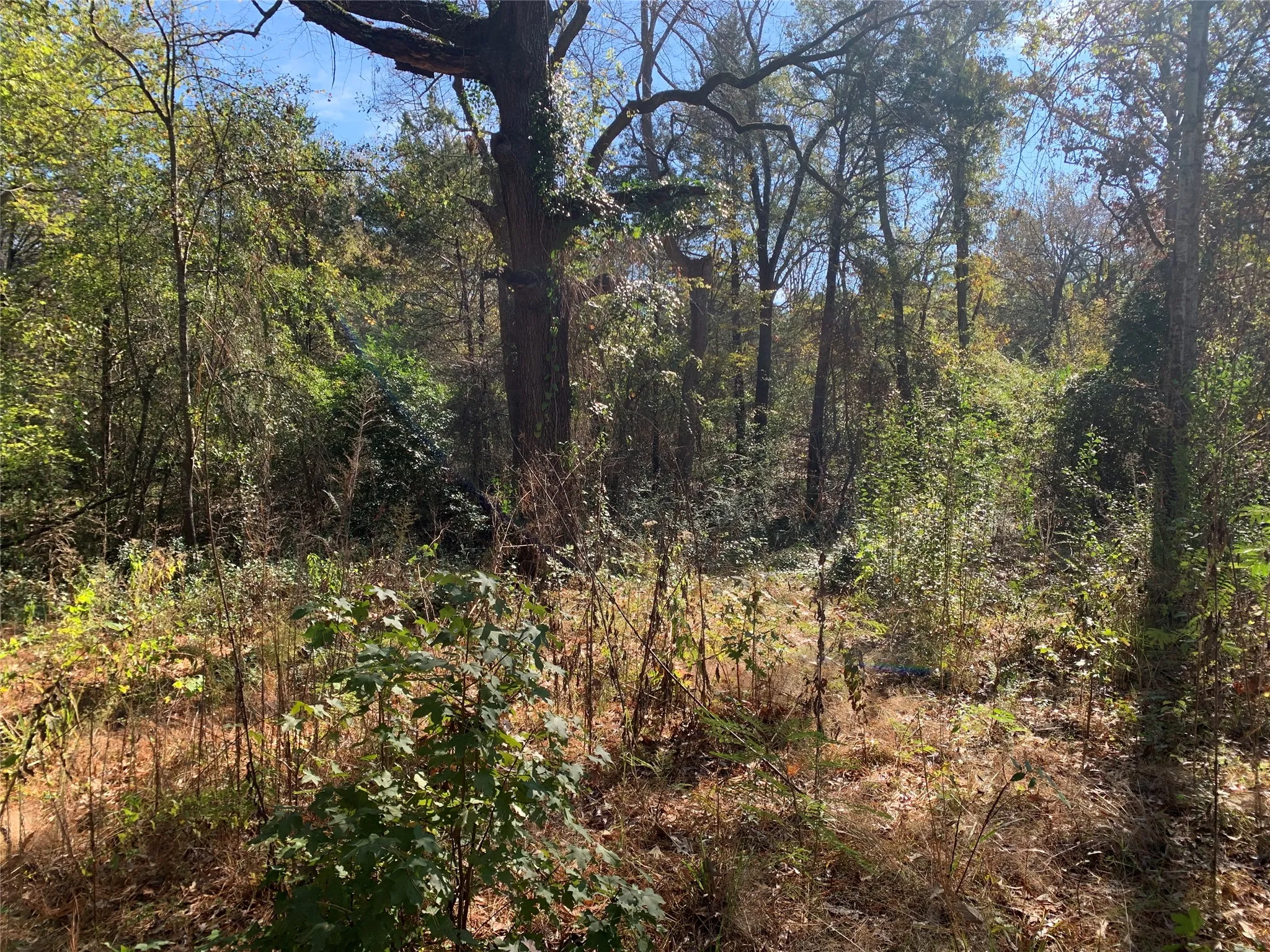 Unimproved Land For Sale in Henderson County , 905 W Cayuga Drive, Athens, Texas 75751, 0, 0, Garage spaces, 0 Sqft, built in 0, Price $40,000, mls#21121907, Real Estate Agent in Athens, Homes For Sale in Henderson county, Homes For Sale in Athens, Realtor in Athens Texas, Real Estate Brokerage Independent Realty Texas, Luminita Cordes Realtor