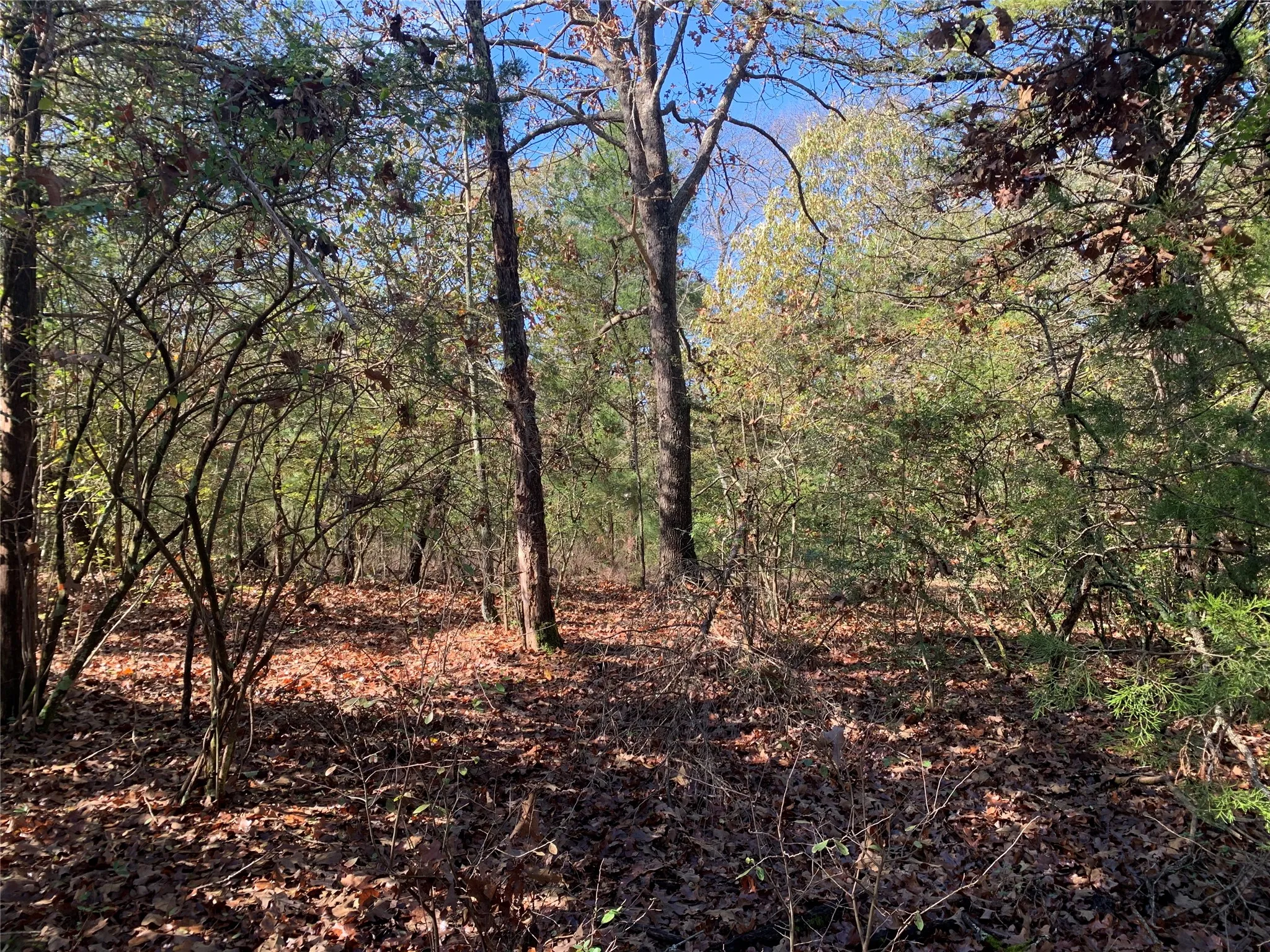Unimproved Land For Sale in Henderson County , 905 W Cayuga Drive, Athens, Texas 75751, 0, 0, Garage spaces, 0 Sqft, built in 0, Price $40,000, mls#21121907, Real Estate Agent in Athens, Homes For Sale in Henderson county, Homes For Sale in Athens, Realtor in Athens Texas, Real Estate Brokerage Independent Realty Texas, Luminita Cordes Realtor
