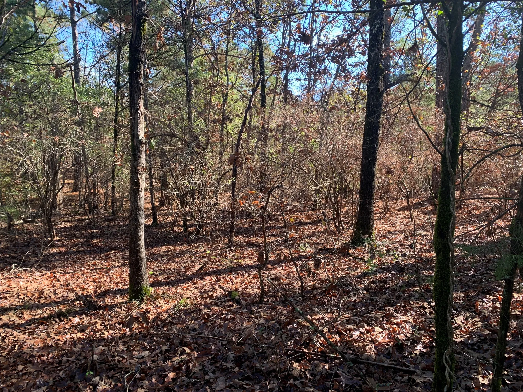 Unimproved Land For Sale in Henderson County , 905 W Cayuga Drive, Athens, Texas 75751, 0, 0, Garage spaces, 0 Sqft, built in 0, Price $40,000, mls#21121907, Real Estate Agent in Athens, Homes For Sale in Henderson county, Homes For Sale in Athens, Realtor in Athens Texas, Real Estate Brokerage Independent Realty Texas, Luminita Cordes Realtor