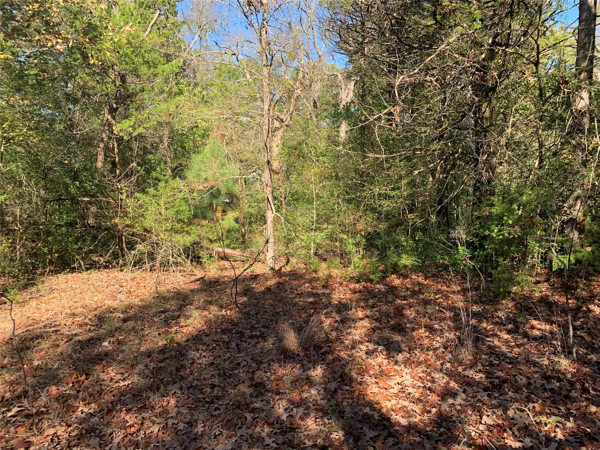 Unimproved Land For Sale in Henderson County , 905 W Cayuga Drive, Athens, Texas 75751, 0, 0, Garage spaces, 0 Sqft, built in 0, Price $40,000, mls#21121907, Real Estate Agent in Athens, Homes For Sale in Henderson county, Homes For Sale in Athens, Realtor in Athens Texas, Real Estate Brokerage Independent Realty Texas, Luminita Cordes Realtor