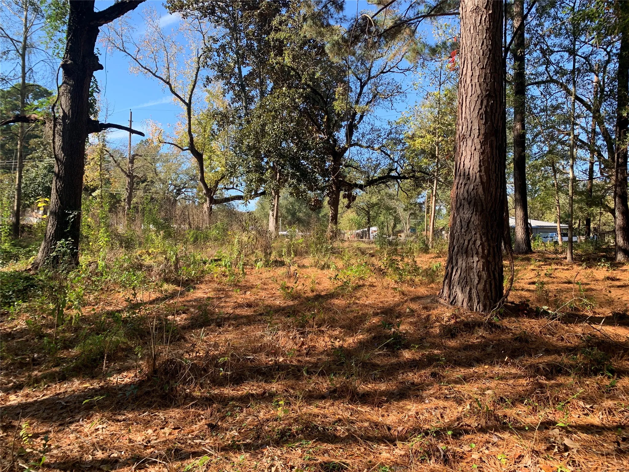 Unimproved Land For Sale in Henderson County , 905 W Cayuga Drive, Athens, Texas 75751, 0, 0, Garage spaces, 0 Sqft, built in 0, Price $40,000, mls#21121907, Real Estate Agent in Athens, Homes For Sale in Henderson county, Homes For Sale in Athens, Realtor in Athens Texas, Real Estate Brokerage Independent Realty Texas, Luminita Cordes Realtor
