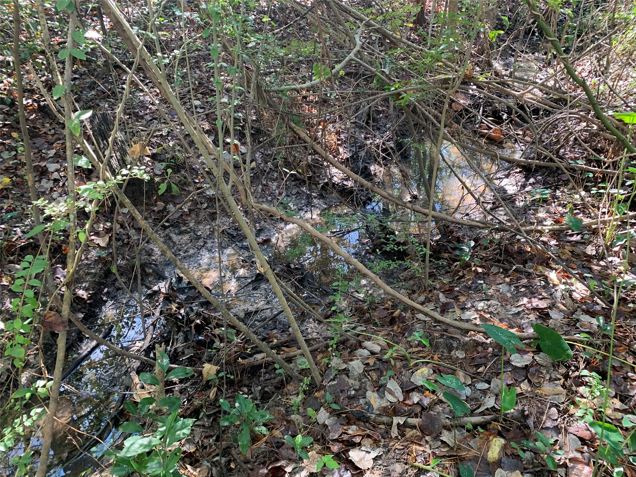 Unimproved Land For Sale in Henderson County , 905 W Cayuga Drive, Athens, Texas 75751, 0, 0, Garage spaces, 0 Sqft, built in 0, Price $40,000, mls#21121907, Real Estate Agent in Athens, Homes For Sale in Henderson county, Homes For Sale in Athens, Realtor in Athens Texas, Real Estate Brokerage Independent Realty Texas, Luminita Cordes Realtor