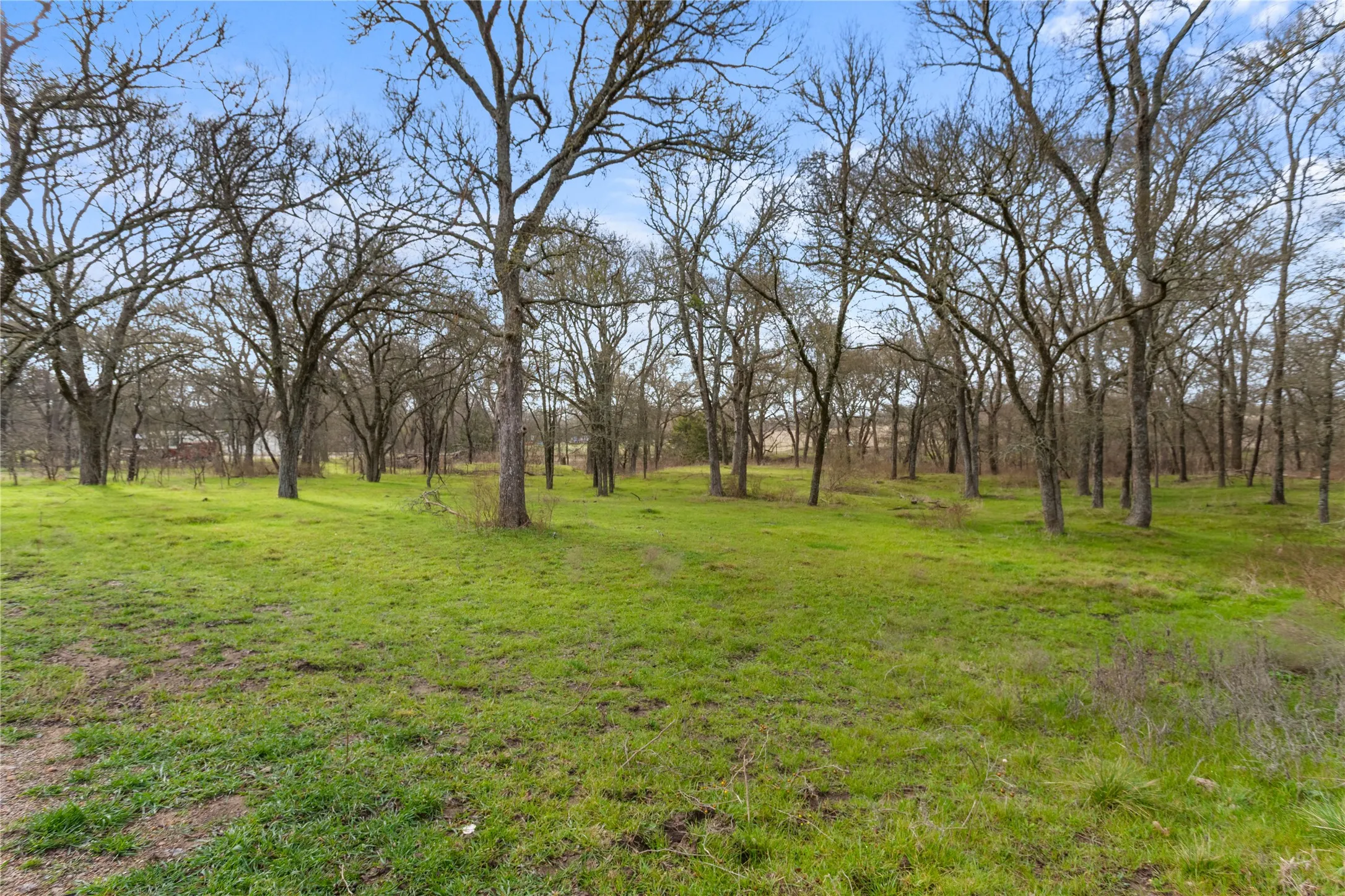 Single Family Residence For Sale in Mc Lennan County , 1447 Red Gate Road, Mart, Texas 76664, 3 Bedrooms, 2 Bathrooms, 2 Garage spaces, 2,602 Sqft, built in 1988, Price $725,000, mls#21122186, Real Estate Agent in Mart, Homes For Sale in Mc Lennan county, Homes For Sale in Mart, Realtor in Mart Texas, Real Estate Brokerage Independent Realty Texas, Luminita Cordes Realtor