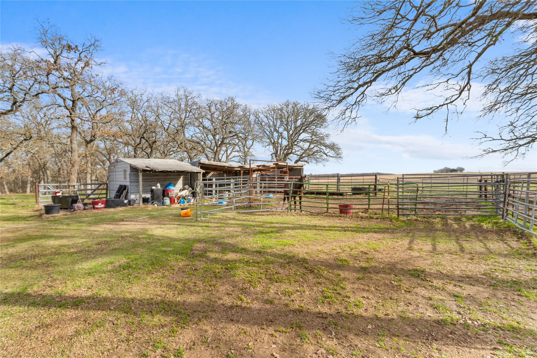 Single Family Residence For Sale in Mc Lennan County , 1447 Red Gate Road, Mart, Texas 76664, 3 Bedrooms, 2 Bathrooms, 2 Garage spaces, 2,602 Sqft, built in 1988, Price $725,000, mls#21122186, Real Estate Agent in Mart, Homes For Sale in Mc Lennan county, Homes For Sale in Mart, Realtor in Mart Texas, Real Estate Brokerage Independent Realty Texas, Luminita Cordes Realtor