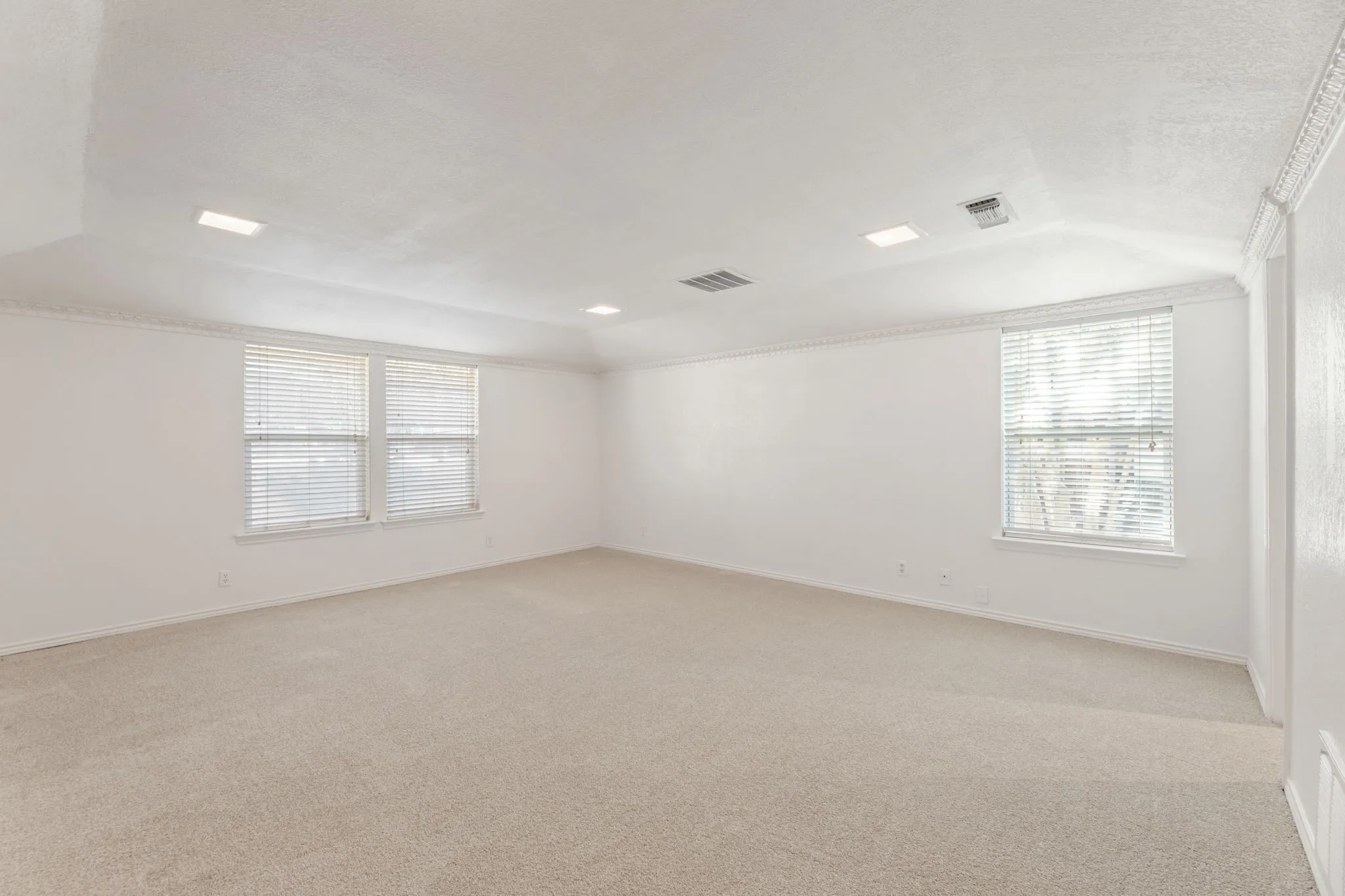 Spare room with healthy amount of natural light, light carpet, lofted ceiling, ornamental molding, and a textured ceiling