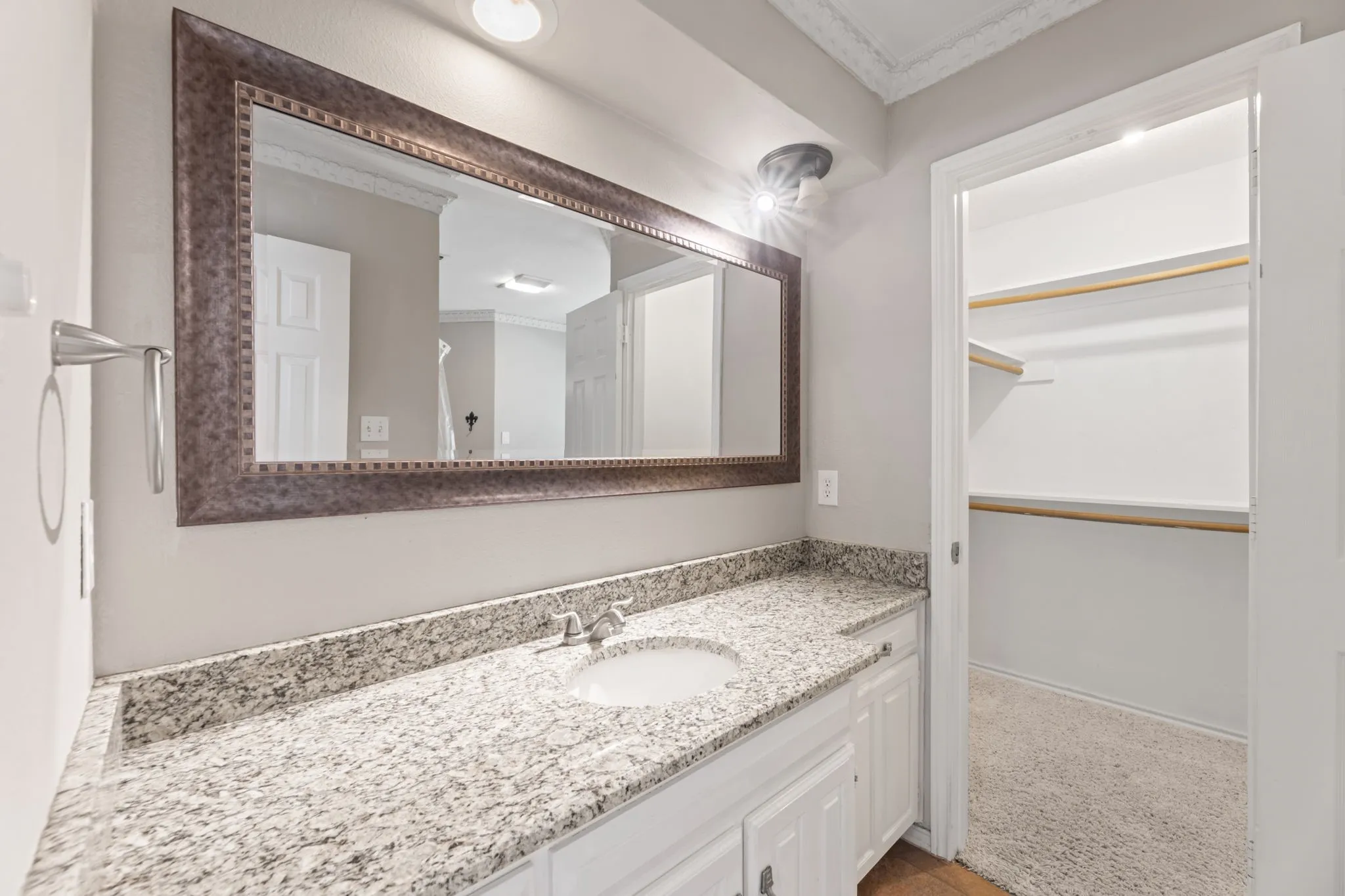 Bathroom with vanity, ornamental molding, a walk in closet, and light carpet