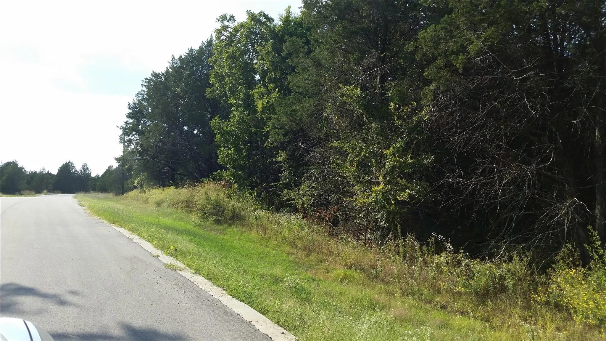 View of asphalt street featuring a forest view