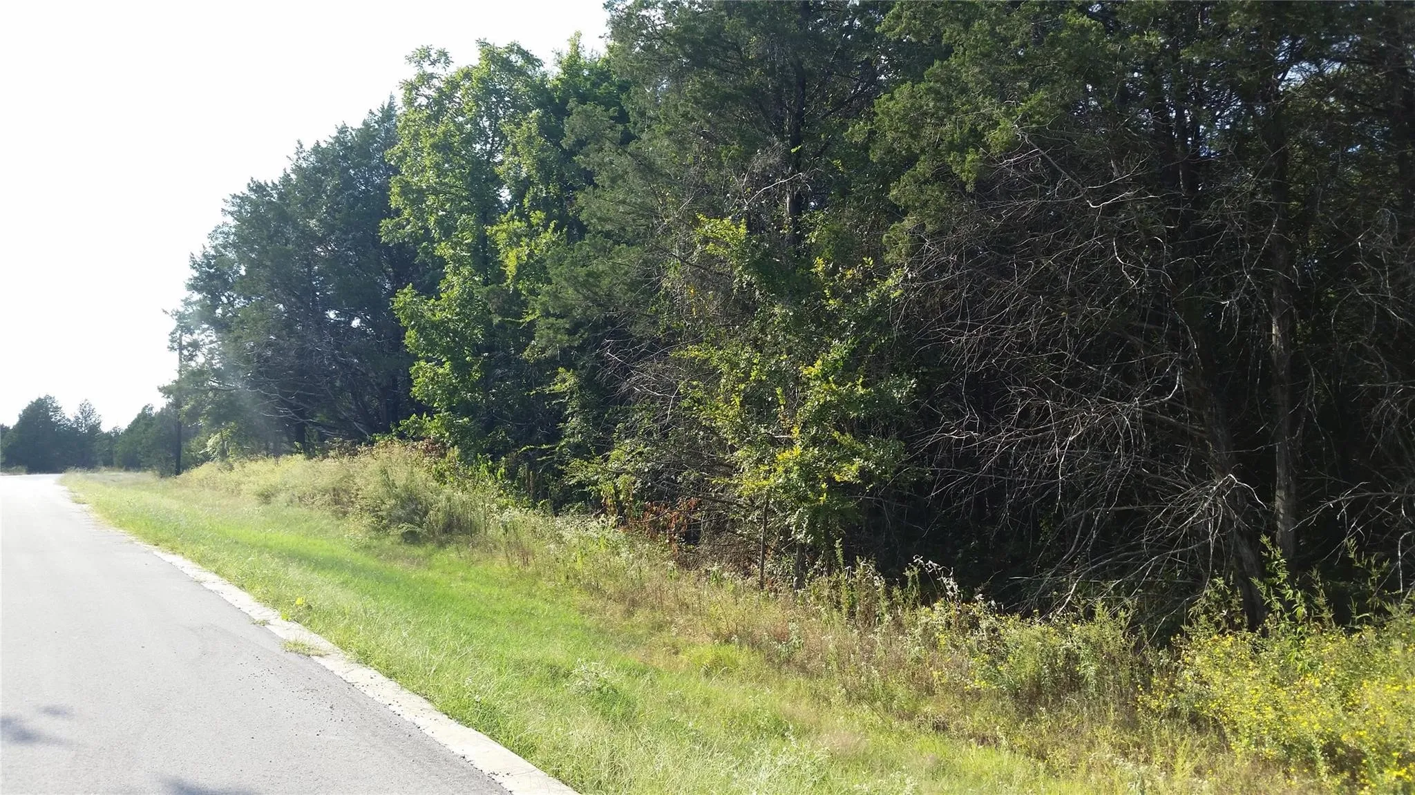 Unimproved Land For Sale in Grayson County , lot 16 Dublin Circle, Gordonville, Texas 76245, 0, 0, Garage spaces, 0 Sqft, built in 0, Price $27,000, mls#21122289, Real Estate Agent in Gordonville, Homes For Sale in Grayson county, Homes For Sale in Gordonville, Realtor in Gordonville Texas, Real Estate Brokerage Independent Realty Texas, Luminita Cordes Realtor