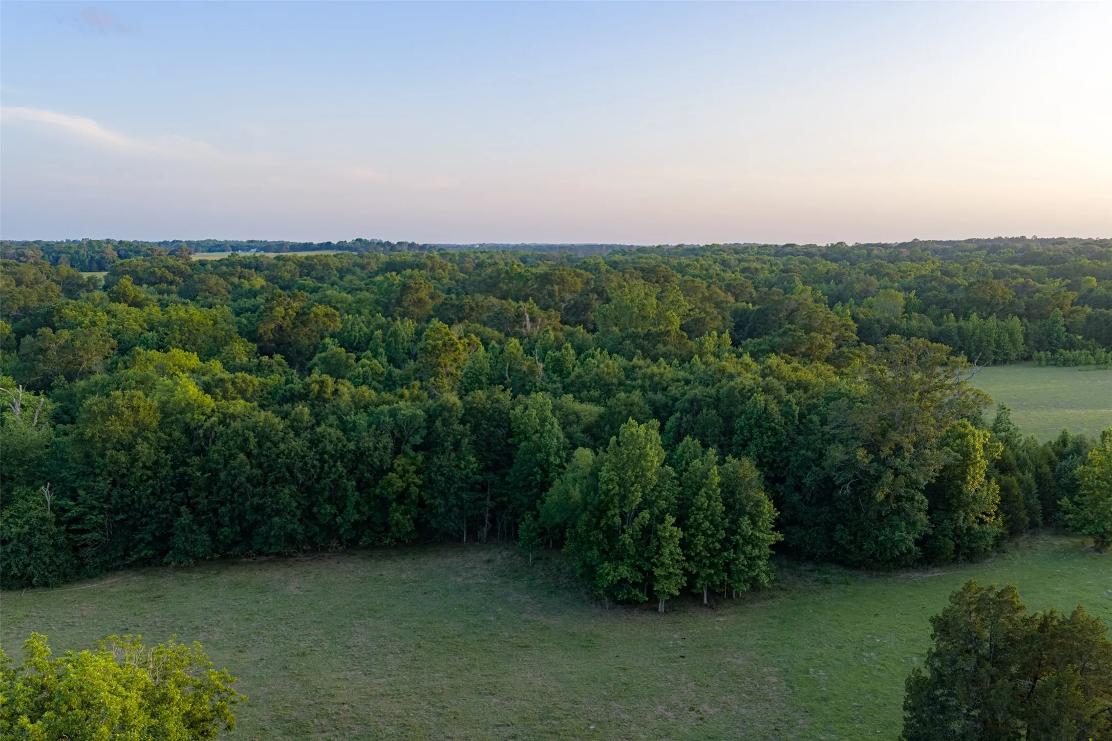 Single Family Residence For Sale in Henderson County , 13612 County Road 3900, Athens, Texas 75752, 3 Bedrooms, 3 Bathrooms, 2 Garage spaces, 1,939 Sqft, built in 1982, Price $1,950,000, mls#21122401, Real Estate Agent in Athens, Homes For Sale in Henderson county, Homes For Sale in Athens, Realtor in Athens Texas, Real Estate Brokerage Independent Realty Texas, Luminita Cordes Realtor