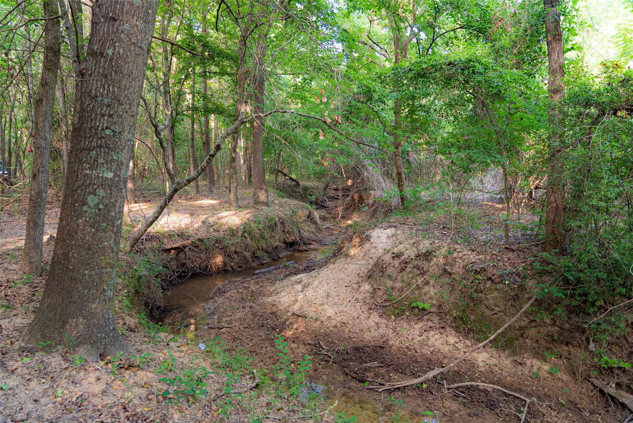 Single Family Residence For Sale in Henderson County , 13612 County Road 3900, Athens, Texas 75752, 3 Bedrooms, 3 Bathrooms, 2 Garage spaces, 1,939 Sqft, built in 1982, Price $1,950,000, mls#21122401, Real Estate Agent in Athens, Homes For Sale in Henderson county, Homes For Sale in Athens, Realtor in Athens Texas, Real Estate Brokerage Independent Realty Texas, Luminita Cordes Realtor