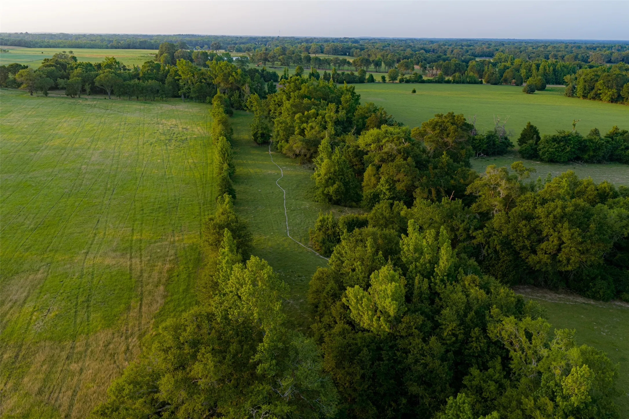 Single Family Residence For Sale in Henderson County , 13612 County Road 3900, Athens, Texas 75752, 3 Bedrooms, 3 Bathrooms, 2 Garage spaces, 1,939 Sqft, built in 1982, Price $1,950,000, mls#21122401, Real Estate Agent in Athens, Homes For Sale in Henderson county, Homes For Sale in Athens, Realtor in Athens Texas, Real Estate Brokerage Independent Realty Texas, Luminita Cordes Realtor