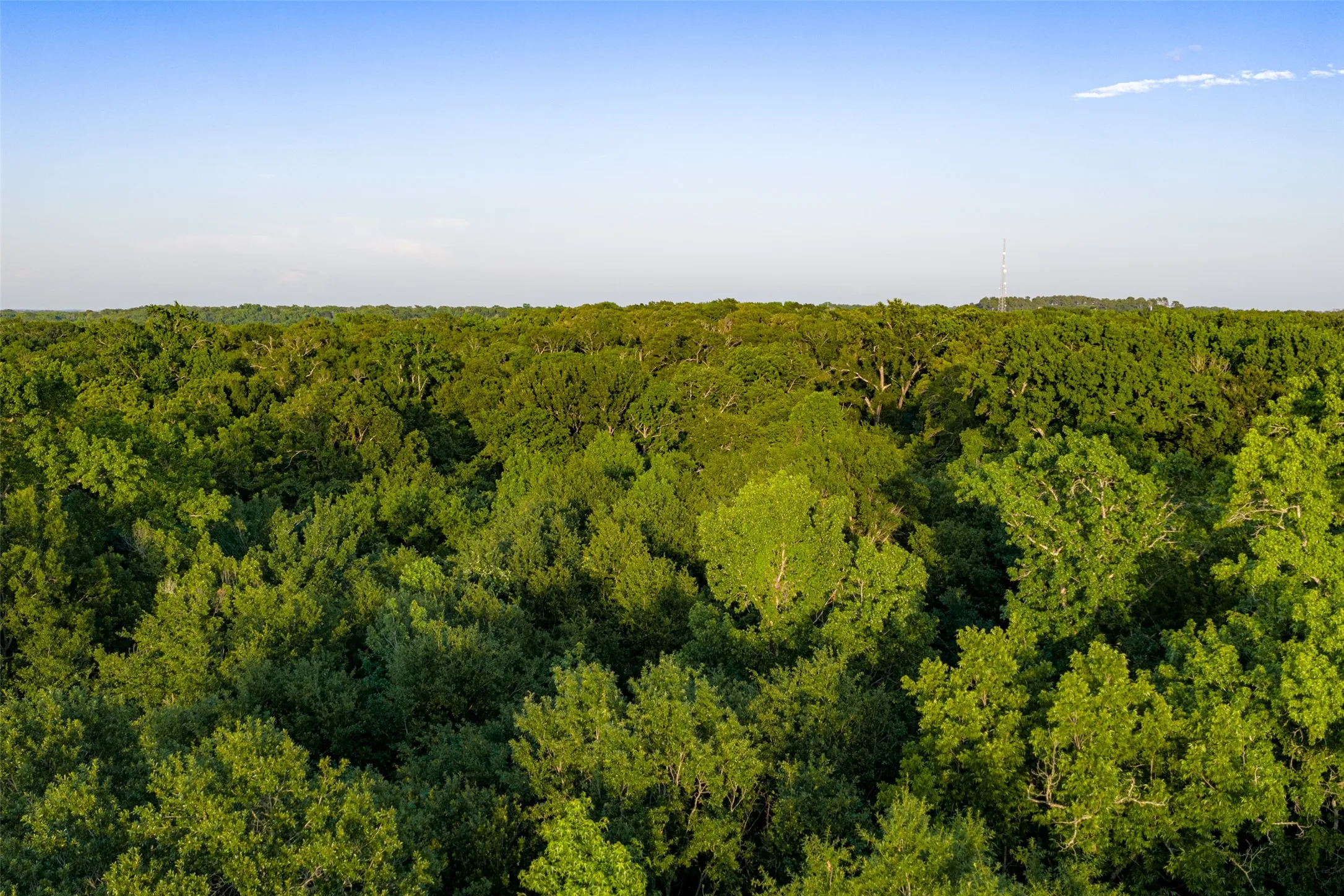 Single Family Residence For Sale in Henderson County , 13612 County Road 3900, Athens, Texas 75752, 3 Bedrooms, 3 Bathrooms, 2 Garage spaces, 1,939 Sqft, built in 1982, Price $1,950,000, mls#21122401, Real Estate Agent in Athens, Homes For Sale in Henderson county, Homes For Sale in Athens, Realtor in Athens Texas, Real Estate Brokerage Independent Realty Texas, Luminita Cordes Realtor
