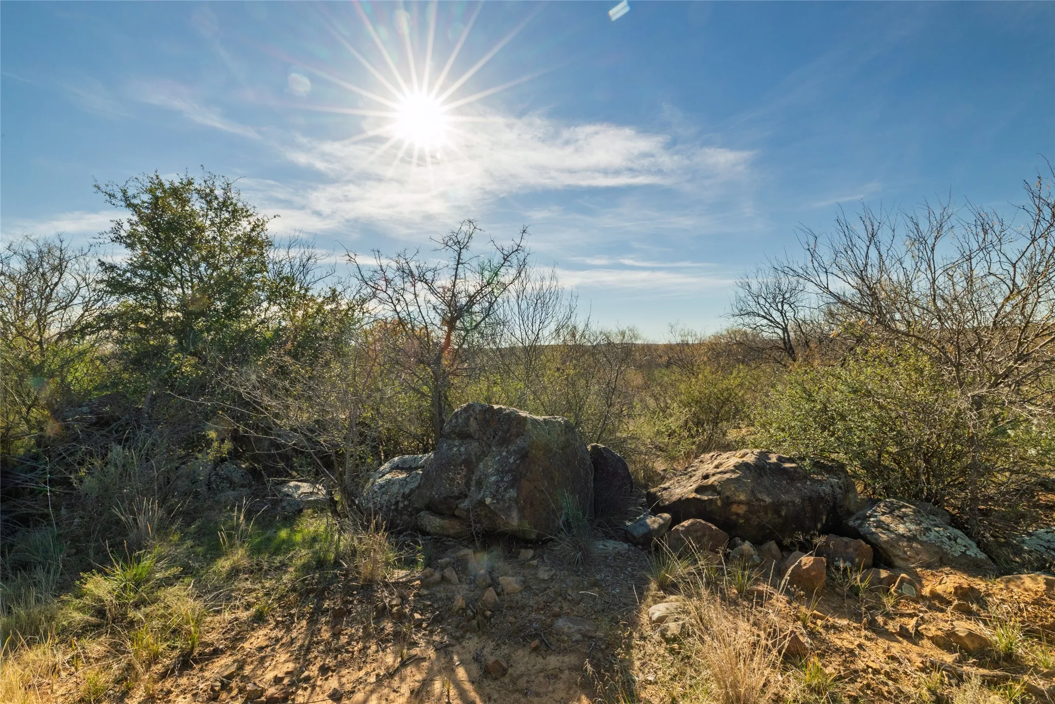 View of local wilderness