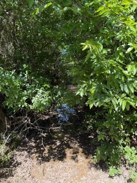 June 2026 - Trails