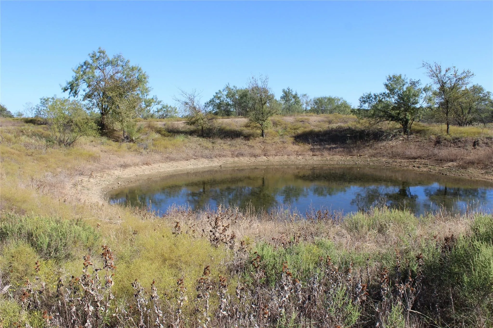 Water view - small tank