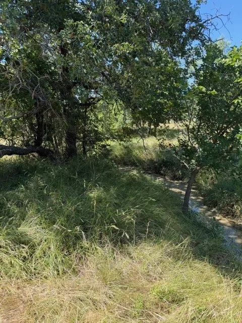 June 2026 - Creek
