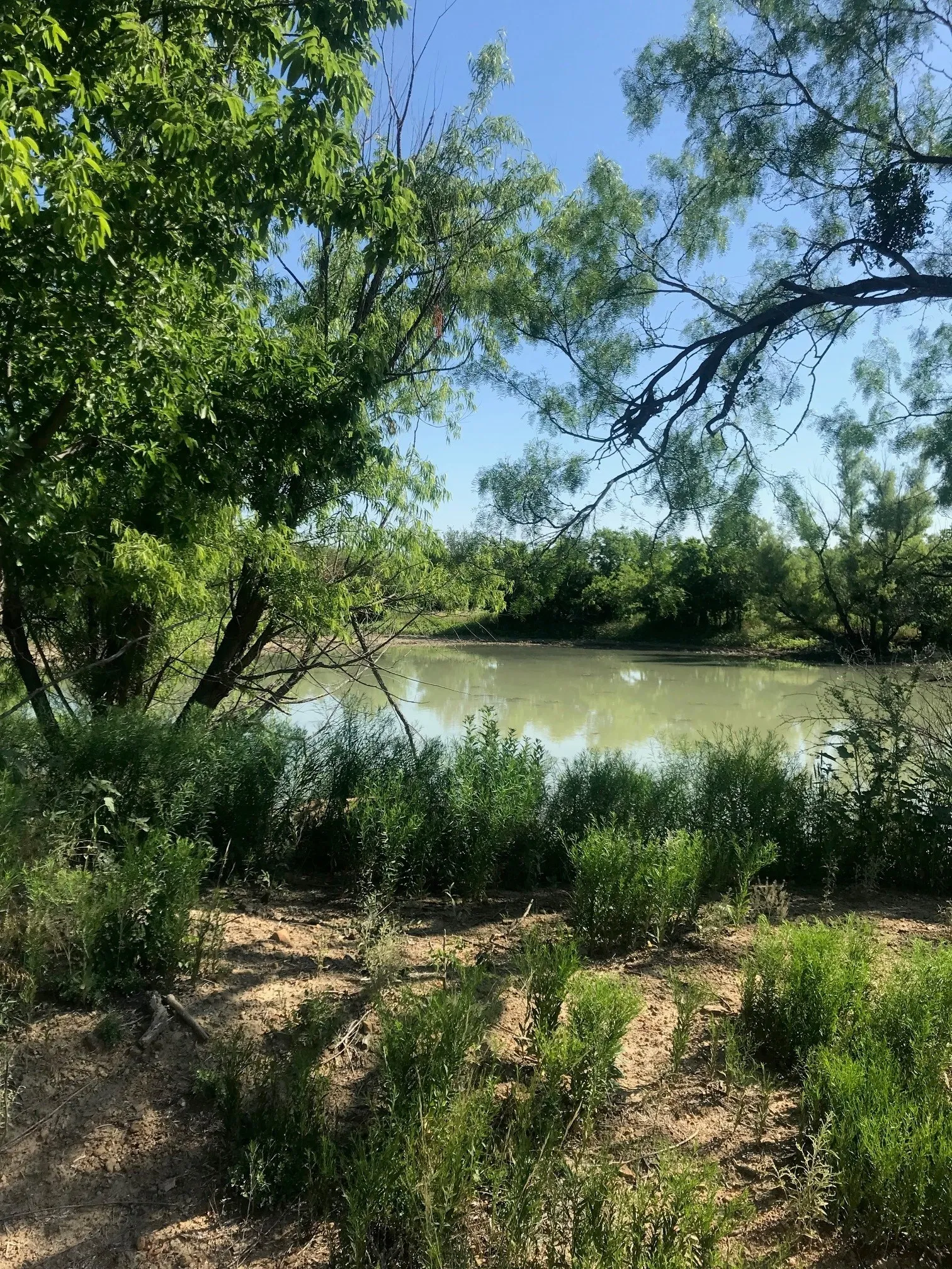 Water view