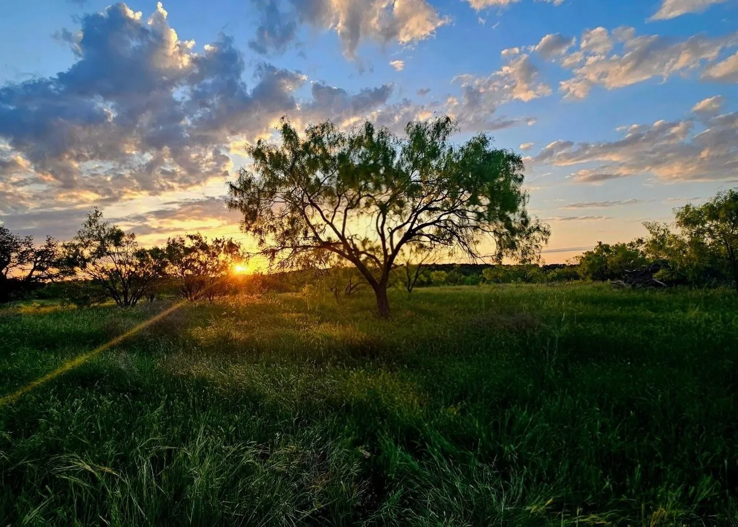 View of nature at dusk