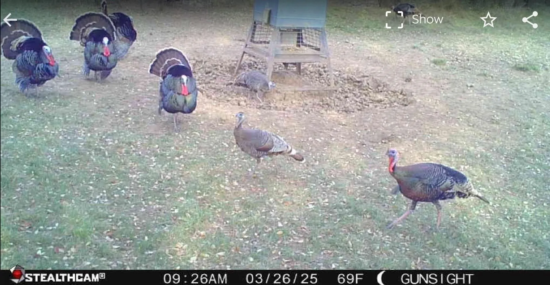 Turkey