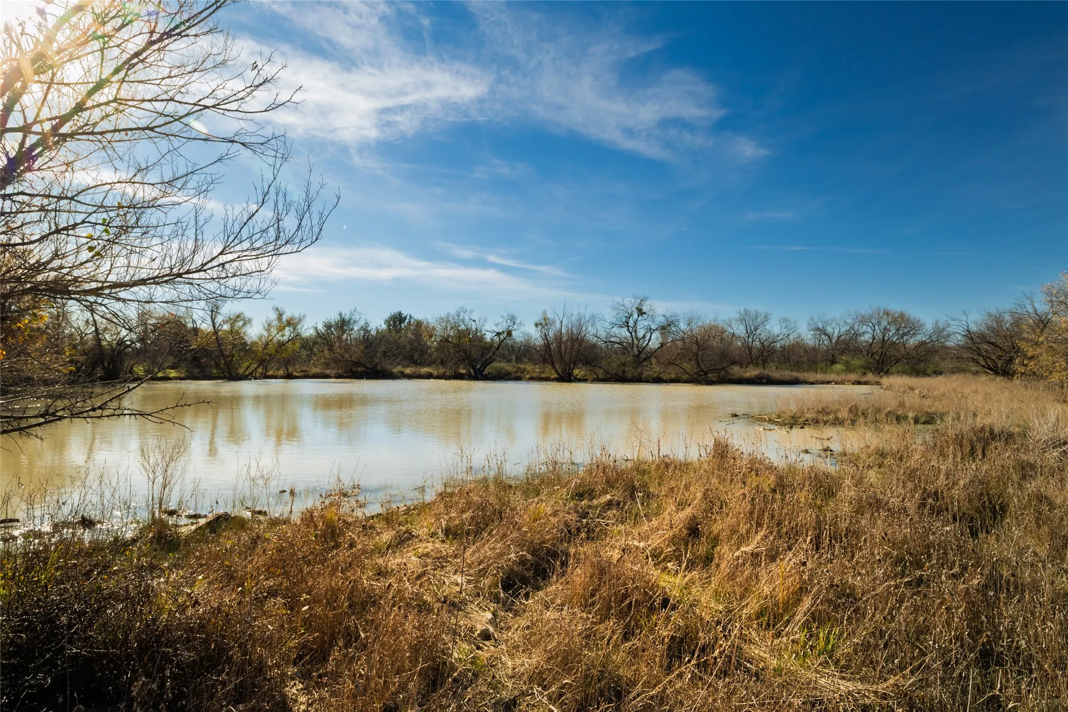 Water view with a heavily wooded area