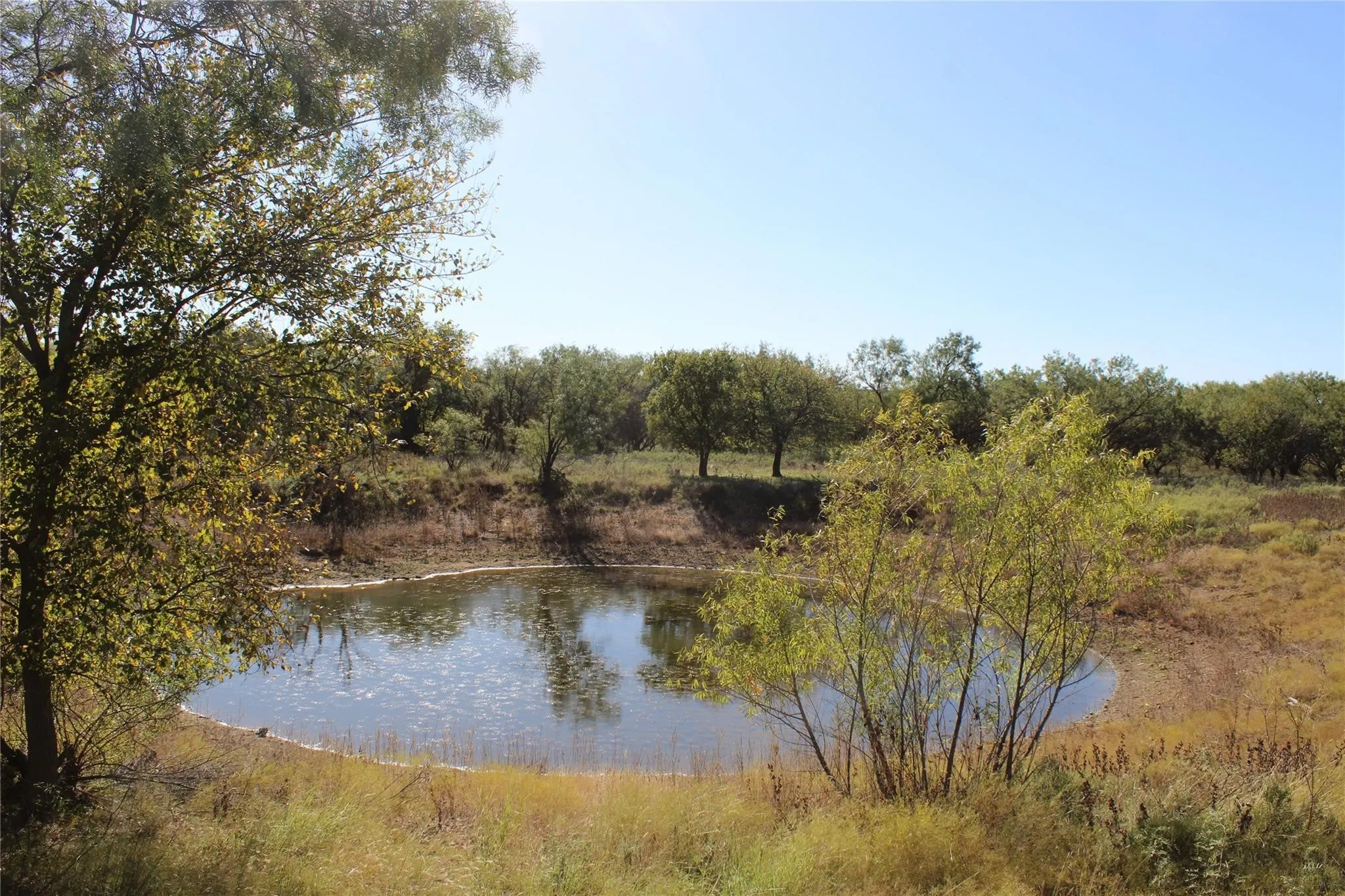 Water view - small tank