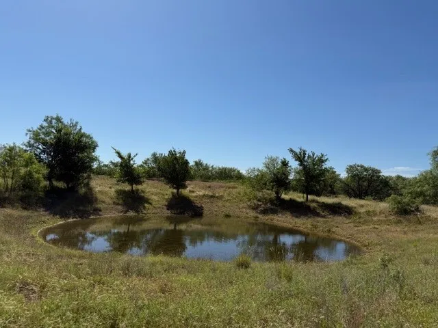 June 2026 - Small Pond