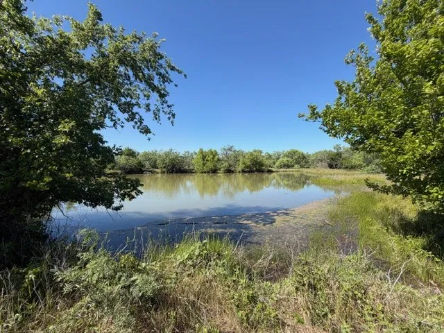 Ranch For Sale in Stephens County , TBD County Road 154, Breckenridge, Texas 76424, 0, 0, Garage spaces, 0 Sqft, built in 0, mls#21122411, Real Estate Agent in Breckenridge, Homes For Sale in Stephens county, Homes For Sale in Breckenridge, Realtor in Breckenridge Texas, Real Estate Brokerage Independent Realty Texas, Luminita Cordes Realtor