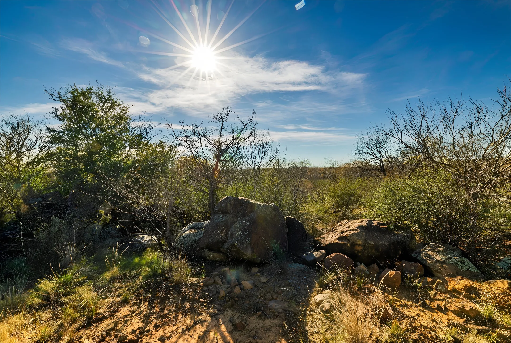View of undeveloped land