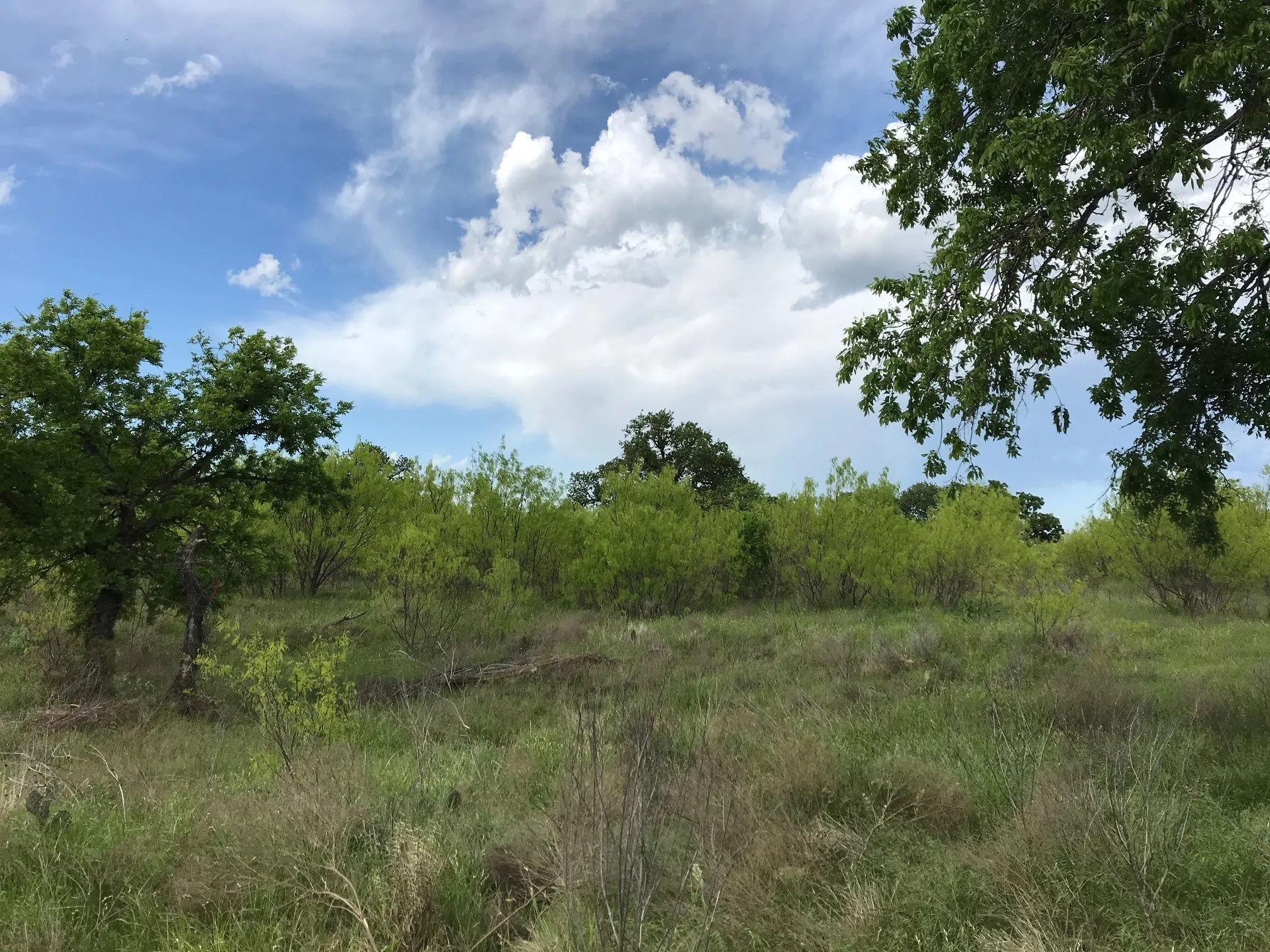 Ranch For Sale in Stephens County , TBD County Road 154, Breckenridge, Texas 76424, 0, 0, Garage spaces, 0 Sqft, built in 0, mls#21122411, Real Estate Agent in Breckenridge, Homes For Sale in Stephens county, Homes For Sale in Breckenridge, Realtor in Breckenridge Texas, Real Estate Brokerage Independent Realty Texas, Luminita Cordes Realtor