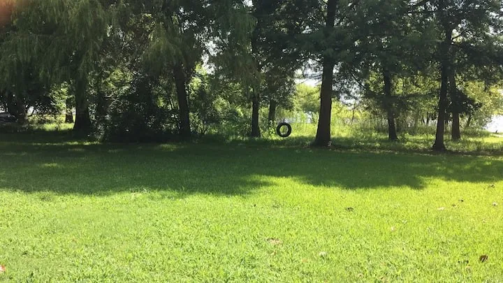 View of green lawn
