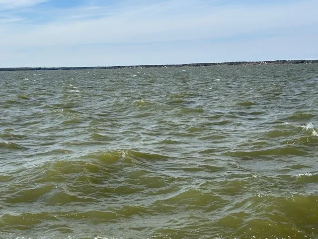 Unimproved Land For Sale in Navarro County , 9 captains court, Streetman, Texas 75859, 0, 0, Garage spaces, 0 Sqft, built in 0, mls#21122432, Real Estate Agent in Streetman, Homes For Sale in Navarro county, Homes For Sale in Streetman, Realtor in Streetman Texas, Real Estate Brokerage Independent Realty Texas, Luminita Cordes Realtor