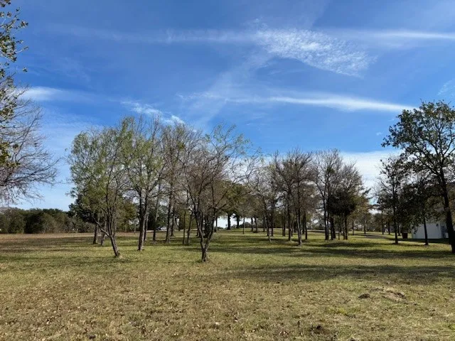 Unimproved Land For Sale in Navarro County , 9 captains court, Streetman, Texas 75859, 0, 0, Garage spaces, 0 Sqft, built in 0, mls#21122432, Real Estate Agent in Streetman, Homes For Sale in Navarro county, Homes For Sale in Streetman, Realtor in Streetman Texas, Real Estate Brokerage Independent Realty Texas, Luminita Cordes Realtor