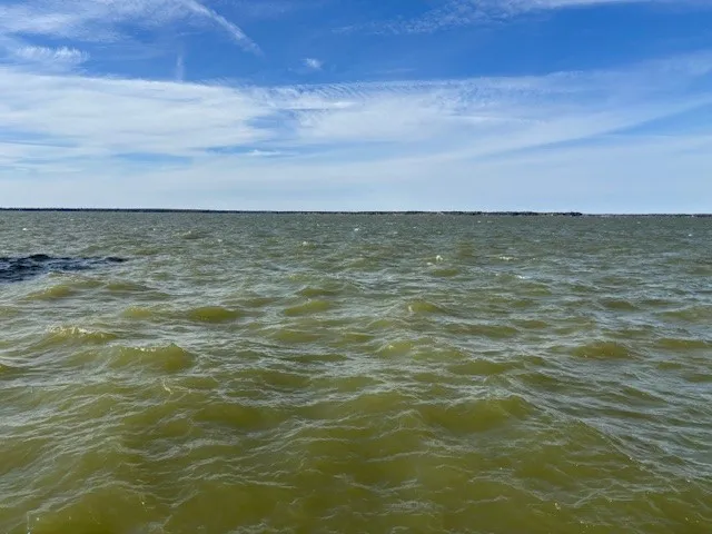 Unimproved Land For Sale in Navarro County , 9 captains court, Streetman, Texas 75859, 0, 0, Garage spaces, 0 Sqft, built in 0, mls#21122432, Real Estate Agent in Streetman, Homes For Sale in Navarro county, Homes For Sale in Streetman, Realtor in Streetman Texas, Real Estate Brokerage Independent Realty Texas, Luminita Cordes Realtor