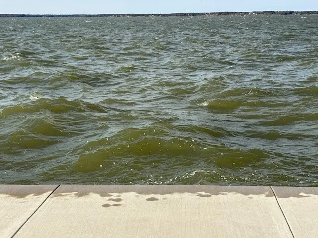Unimproved Land For Sale in Navarro County , 9 captains court, Streetman, Texas 75859, 0, 0, Garage spaces, 0 Sqft, built in 0, mls#21122432, Real Estate Agent in Streetman, Homes For Sale in Navarro county, Homes For Sale in Streetman, Realtor in Streetman Texas, Real Estate Brokerage Independent Realty Texas, Luminita Cordes Realtor