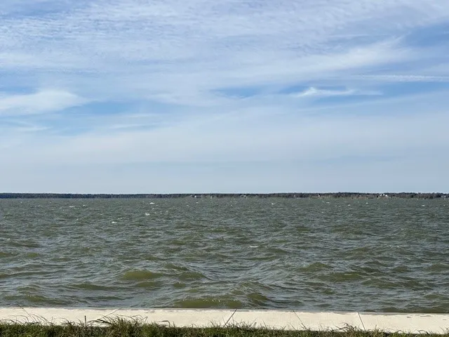 Unimproved Land For Sale in Navarro County , 9 captains court, Streetman, Texas 75859, 0, 0, Garage spaces, 0 Sqft, built in 0, mls#21122432, Real Estate Agent in Streetman, Homes For Sale in Navarro county, Homes For Sale in Streetman, Realtor in Streetman Texas, Real Estate Brokerage Independent Realty Texas, Luminita Cordes Realtor