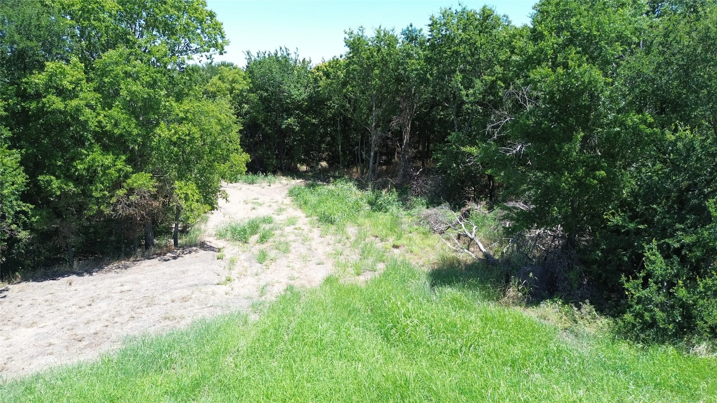 Unimproved Land For Sale in Delta County , TBD CR 3140, Cooper, Texas 75432, 0, 0, Garage spaces, 0 Sqft, built in 0, mls#21120316, Real Estate Agent in Cooper, Homes For Sale in Delta county, Homes For Sale in Cooper, Realtor in Cooper Texas, Real Estate Brokerage Independent Realty Texas, Luminita Cordes Realtor