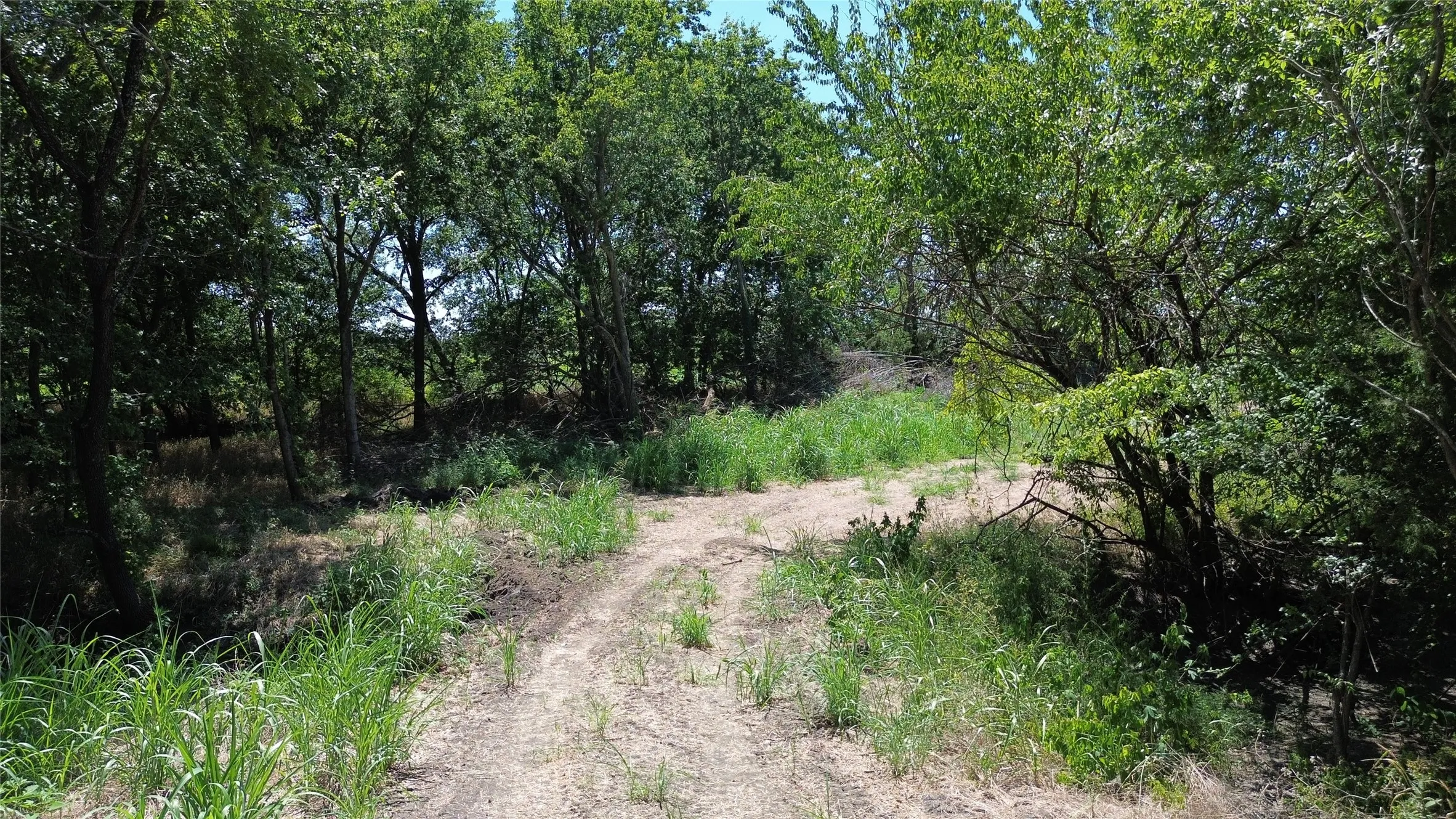 Unimproved Land For Sale in Delta County , TBD CR 3140, Cooper, Texas 75432, 0, 0, Garage spaces, 0 Sqft, built in 0, mls#21120316, Real Estate Agent in Cooper, Homes For Sale in Delta county, Homes For Sale in Cooper, Realtor in Cooper Texas, Real Estate Brokerage Independent Realty Texas, Luminita Cordes Realtor