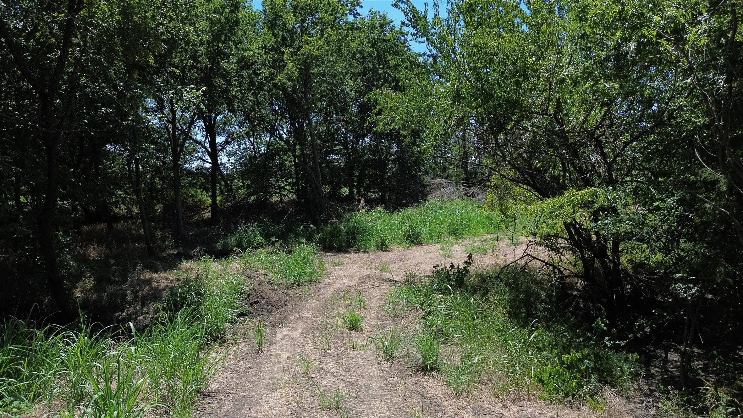 Unimproved Land For Sale in Delta County , TBD CR 3140, Cooper, Texas 75432, 0, 0, Garage spaces, 0 Sqft, built in 0, mls#21120316, Real Estate Agent in Cooper, Homes For Sale in Delta county, Homes For Sale in Cooper, Realtor in Cooper Texas, Real Estate Brokerage Independent Realty Texas, Luminita Cordes Realtor