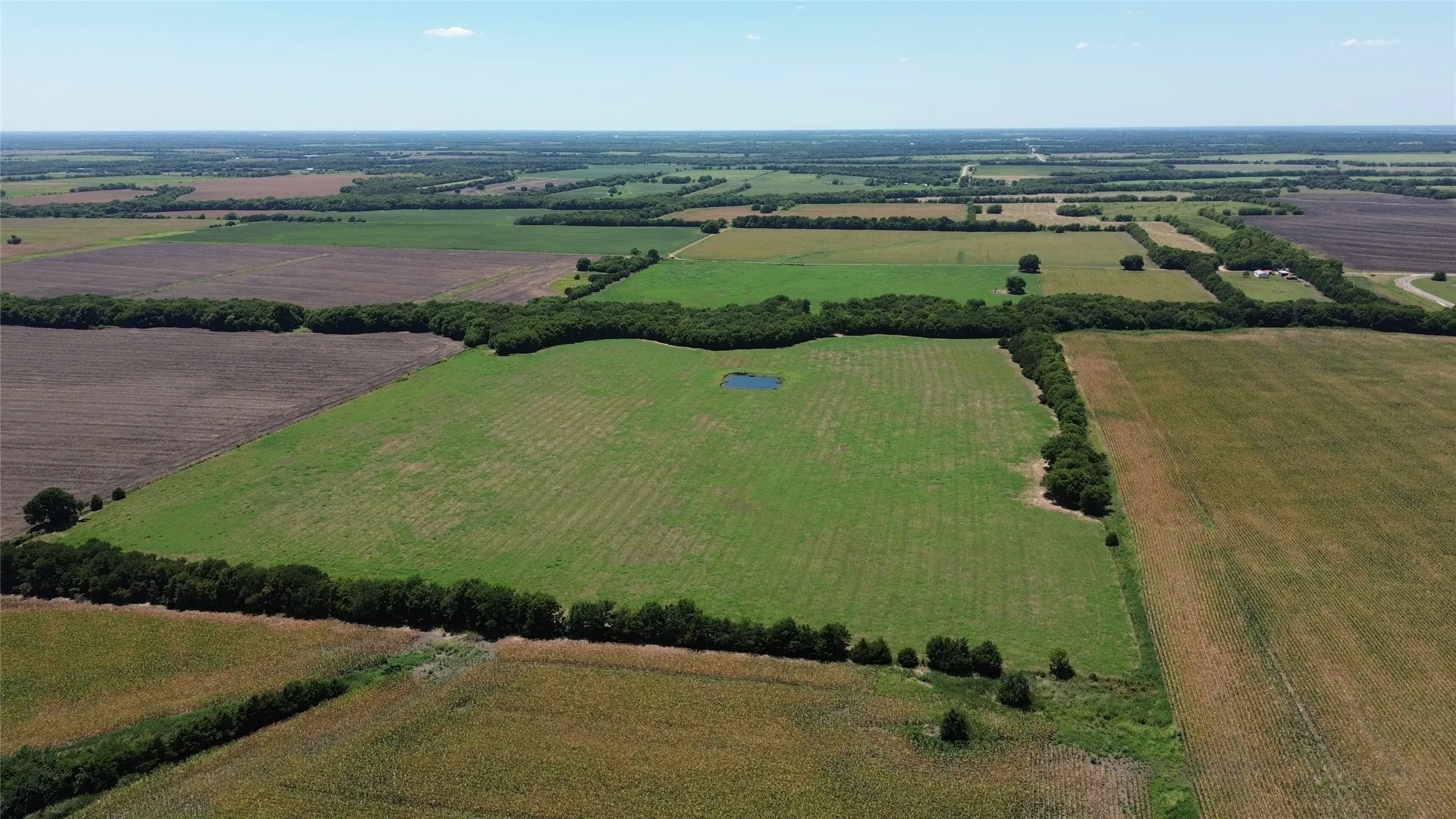 Unimproved Land For Sale in Delta County , TBD CR 3140, Cooper, Texas 75432, 0, 0, Garage spaces, 0 Sqft, built in 0, mls#21120316, Real Estate Agent in Cooper, Homes For Sale in Delta county, Homes For Sale in Cooper, Realtor in Cooper Texas, Real Estate Brokerage Independent Realty Texas, Luminita Cordes Realtor