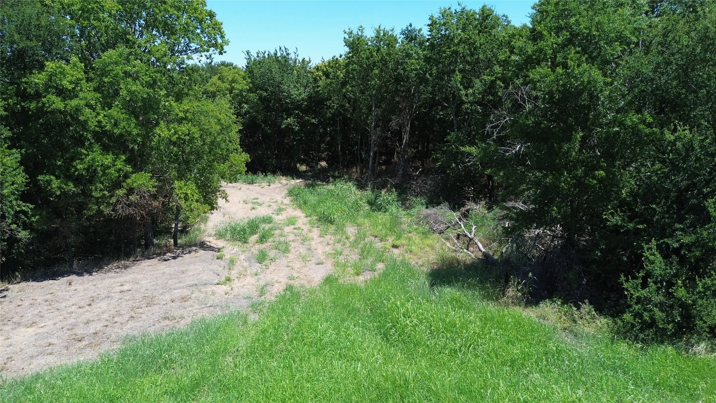 Unimproved Land For Sale in Delta County , TBD CR 3140, Cooper, Texas 75432, 0, 0, Garage spaces, 0 Sqft, built in 0, mls#21120316, Real Estate Agent in Cooper, Homes For Sale in Delta county, Homes For Sale in Cooper, Realtor in Cooper Texas, Real Estate Brokerage Independent Realty Texas, Luminita Cordes Realtor