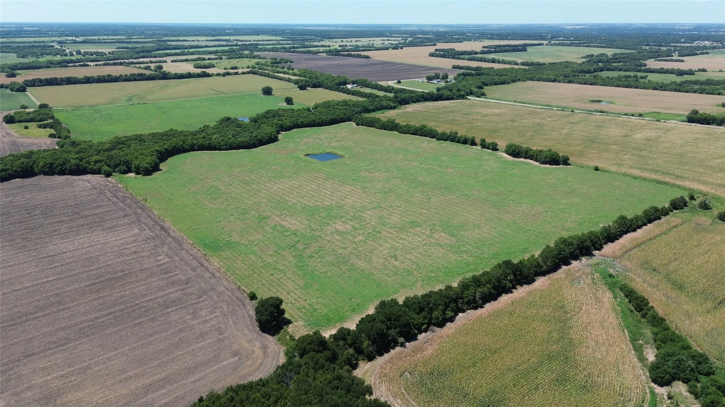 Unimproved Land For Sale in Delta County , TBD CR 3140, Cooper, Texas 75432, 0, 0, Garage spaces, 0 Sqft, built in 0, mls#21120316, Real Estate Agent in Cooper, Homes For Sale in Delta county, Homes For Sale in Cooper, Realtor in Cooper Texas, Real Estate Brokerage Independent Realty Texas, Luminita Cordes Realtor