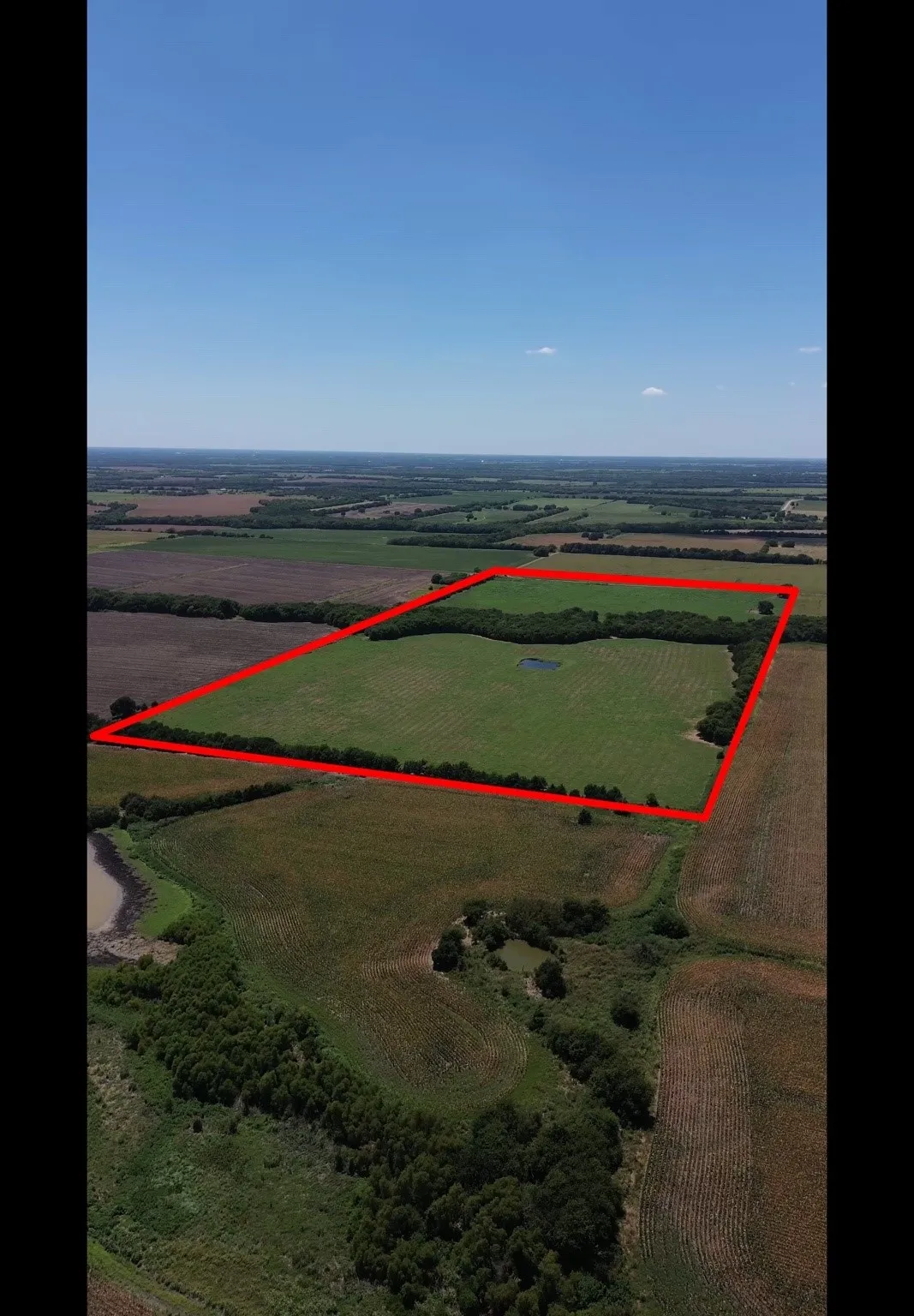Unimproved Land For Sale in Delta County , TBD CR 3140, Cooper, Texas 75432, 0, 0, Garage spaces, 0 Sqft, built in 0, mls#21120316, Real Estate Agent in Cooper, Homes For Sale in Delta county, Homes For Sale in Cooper, Realtor in Cooper Texas, Real Estate Brokerage Independent Realty Texas, Luminita Cordes Realtor